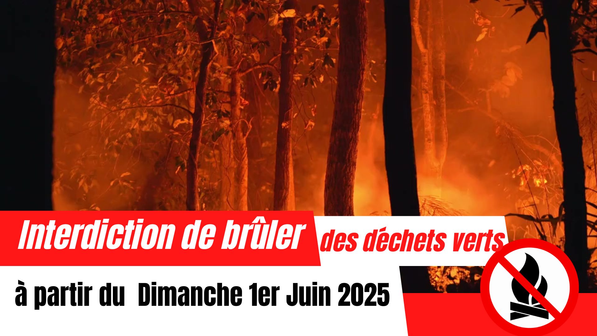 FEUX JPG