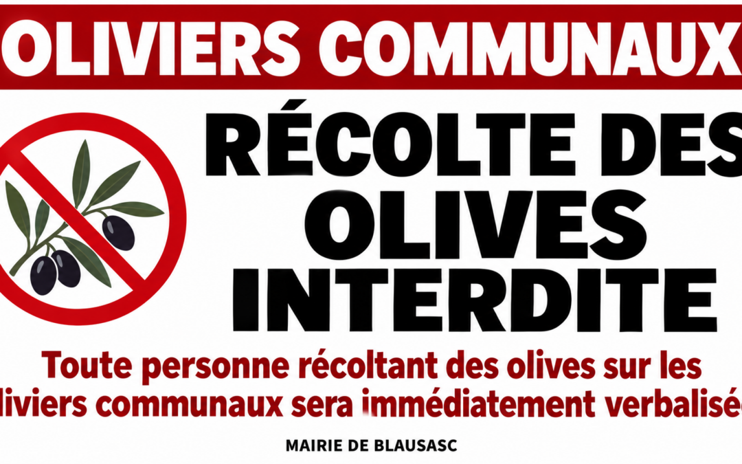 Olives