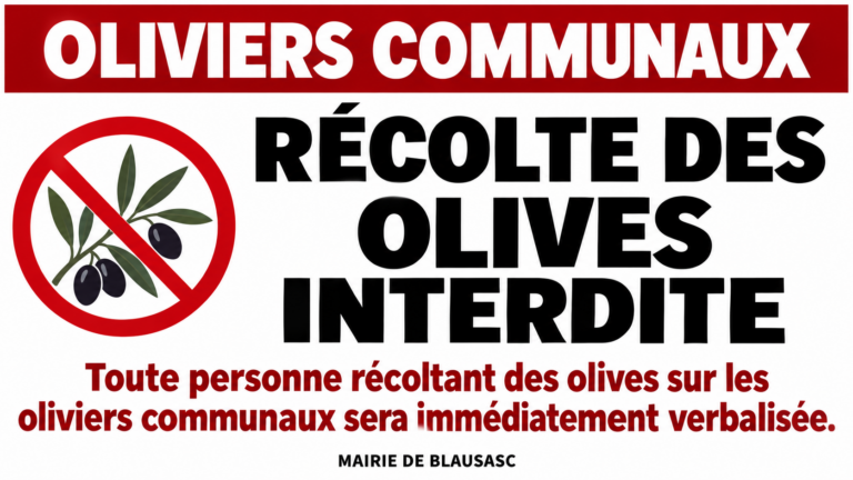 Olives